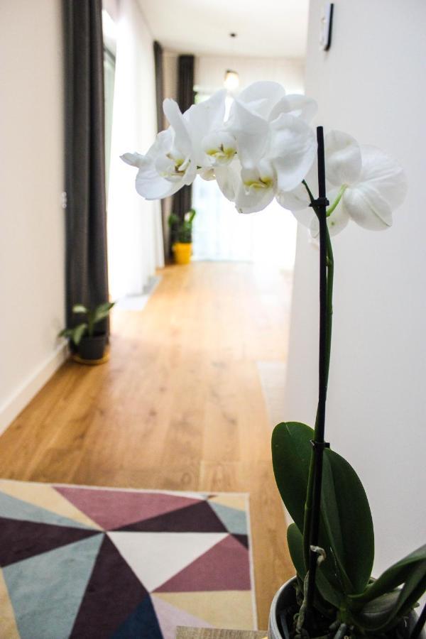 8Ight Apartment บราชอฟ ภายนอก รูปภาพ